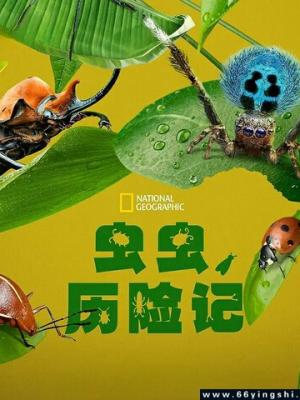 轮播图3